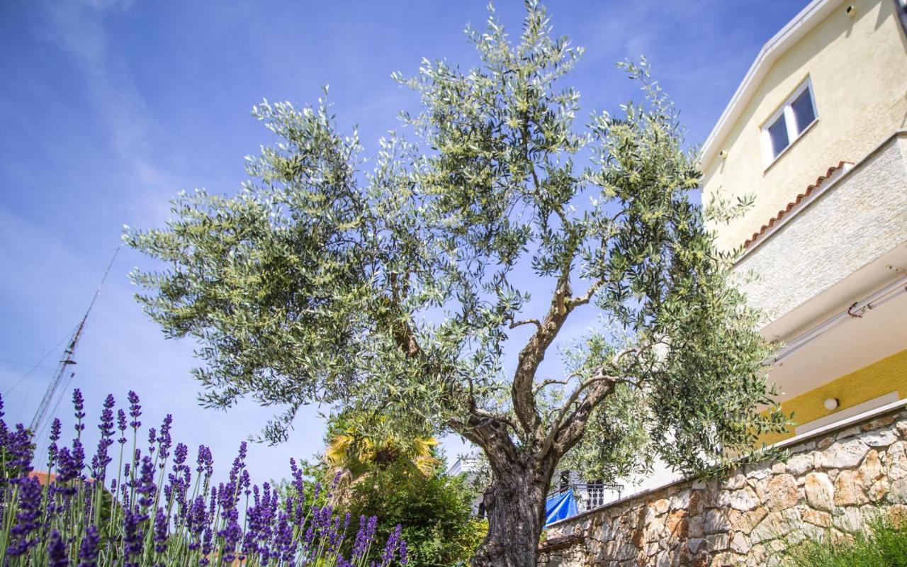 Apartments Balach Poreč Exterior foto